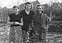 2000-12-10 130528.tif